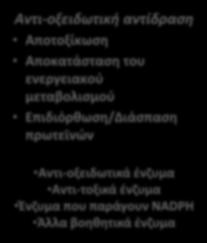 Nrf2 Μονοπάτι: Πιθανός μηχανισμός δράσης του Tecfidera DMF or MMF Keap1 Nrf2 Nrf2 Nrf2 Proteasome Nrf2 Nrf2 ARE Nucleus Αντι-οξειδωτική αντίδραση Αποτοξίκωση Αποκατάσταση του ενεργειακού μεταβολισμού