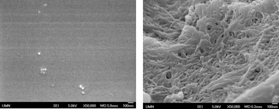 Σχήμα 4-2: Μικροφωτογραφίες SEM και φάσμα FTIR [Sidiras et al.