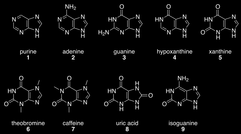 Ενώσεις με δακτυλίους πουρίνης Πουρίνη Αδενίνη Γουανίνη