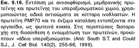 ΑΣΘΕΝΕΙΕΣ ΠΟΥ ΣΧΕΤΙΖΟΝΤΑΙ ΜΕ ΤΑ Υ Η σημασία των Υ για τον άνθρωπο αποτυπώνεται σε μία σειρά κληρονομικών ασθενειών (Ασθένειες βιογένεσης Υ, peroxisomal biogenesis disorders)