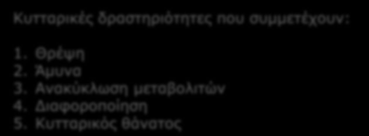 ΛΕΙΤΟΥΡΓΙΑ Κυτταρικές δραστηριότητες που συμμετέχουν: 1. Θρέψη 2. Άμυνα 3. Ανακύκλωση μεταβολιτών 4. Διαφοροποίηση 5.