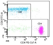 Τα CD4+ Τ λεμφοκύτταρα αποτελούν το 65,7% των CD3+