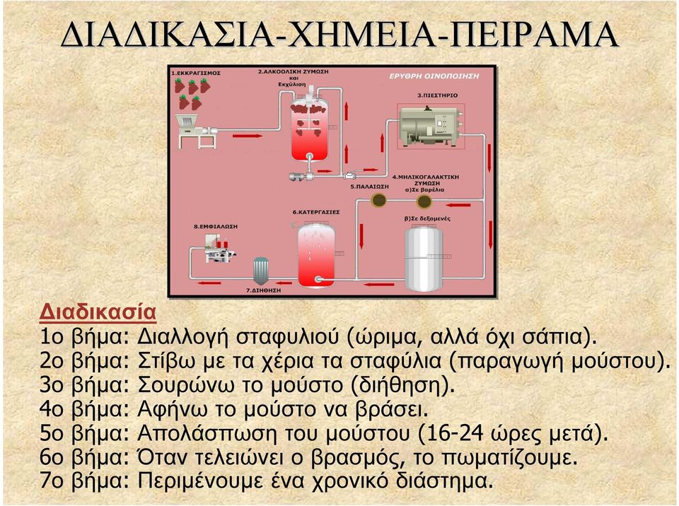 3ο βήµα: Σουρώνω το µούστο (διήθηση). 4ο βήµα: Αφήνω το µούστο να βράσει.