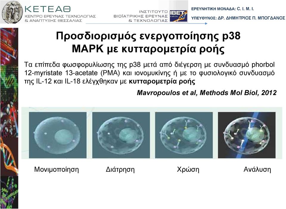 ιονοµυκίνης ή µε το φυσιολογικό συνδυασµό της IL-12 και IL-18 ελέγχθηκαν µε