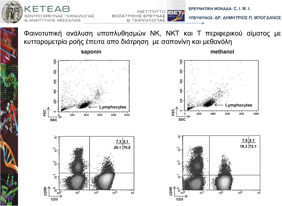 σαπονίνη και µεθανόλη saponin methanol Lymphocytes