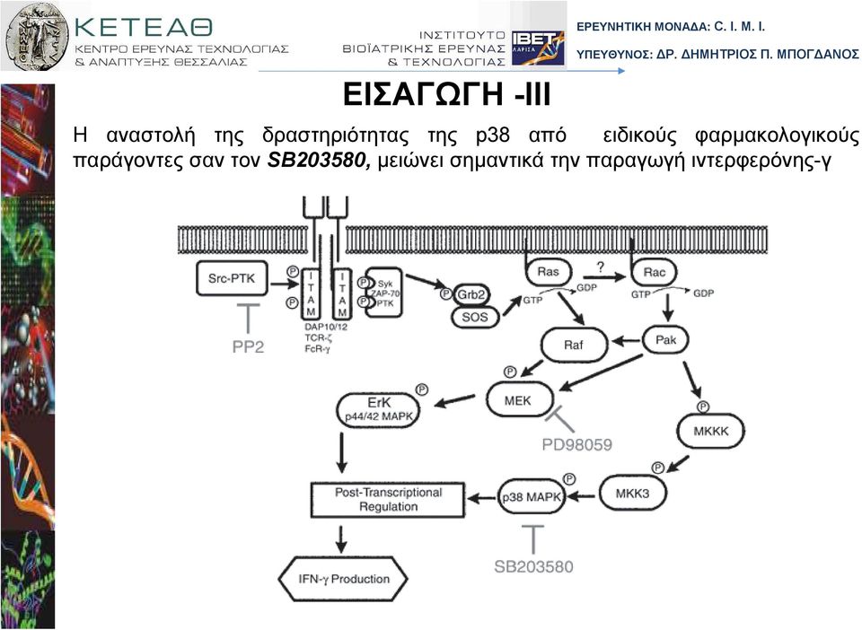 από ειδικούς φαρµακολογικούς παράγοντες σαν