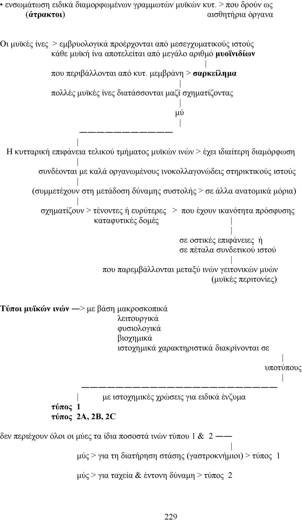 µεµβράνη > σαρκείληµα πολλές µυϊκές ίνες διατάσσονται µαζί σχηµατίζοντας µύ H κυτταρική επιφάνεια τελικού τµήµατος µυϊκών ινών > έχει ιδιαίτερη διαµόρφωση συνδέονται µε καλά οργανωµένους