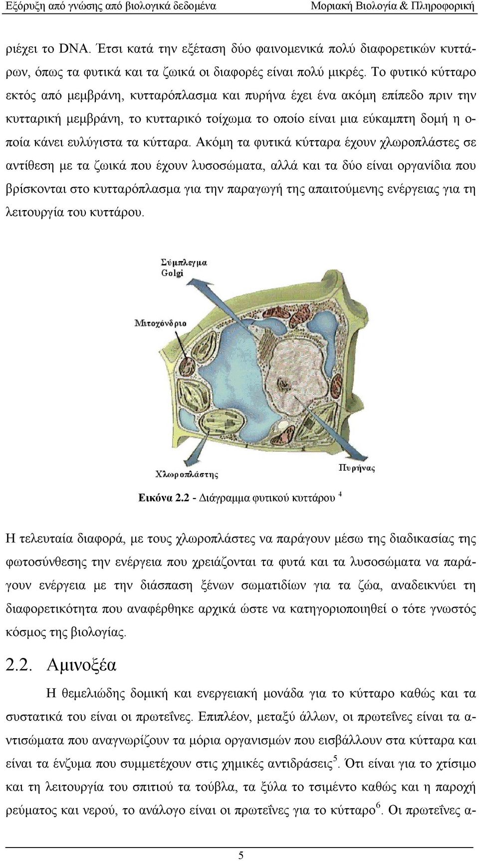 κύτταρα.