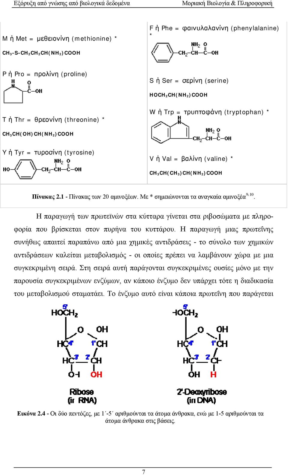 Πίνακας 2.1 - Πίνακας των 20 αμινοξέων. Με * σημειώνονται τα αναγκαία αμινοξέα 9, 10. Η παραγωγή των πρωτεϊνών στα κύτταρα γίνεται στα ριβοσώματα με πληροφορία που βρίσκεται στoν πυρήνα του κυττάρου.