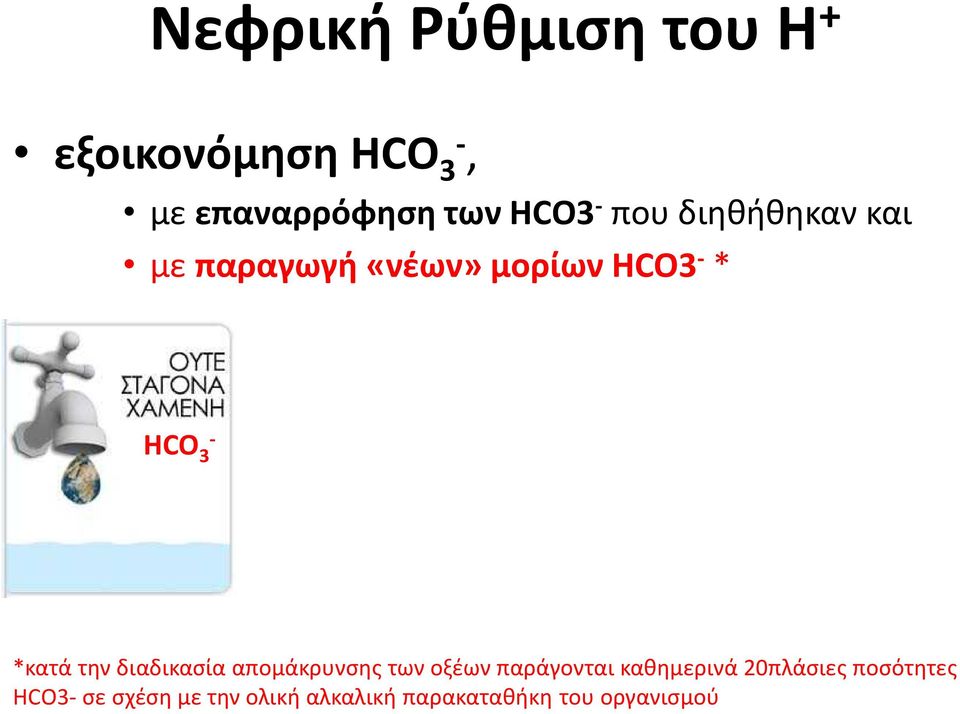 διαδικασία απομάκρυνσης των οξέων παράγονται καθημερινά 20πλάσιες