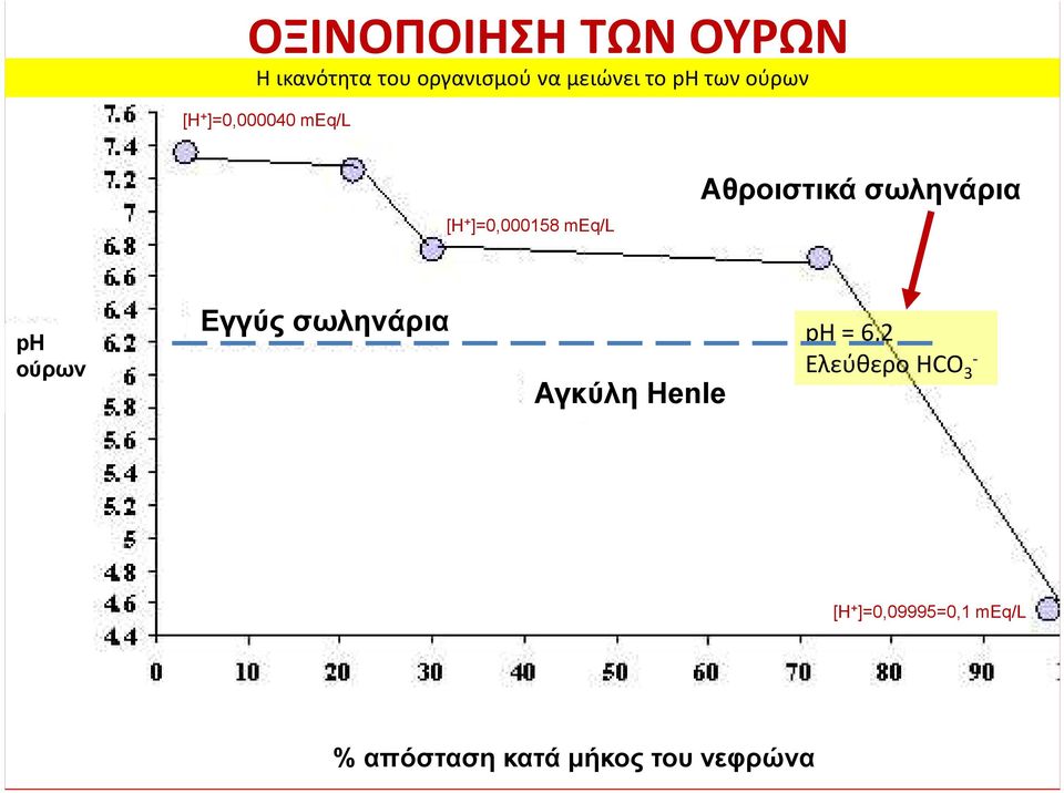 [Η+]=0,000158 meq/l ph ούρων Εγγύς σωληνάρια Αγκύλη Henle ph =