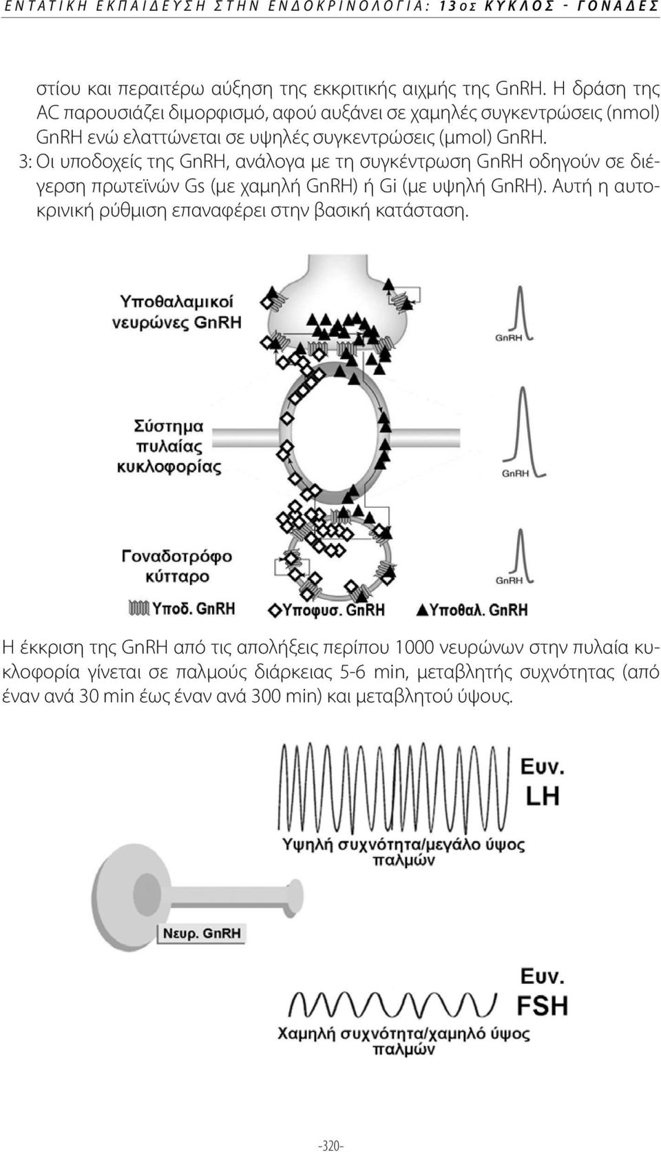 3: Οι υποδοχείς της GnRH, ανάλογα με τη συγκέντρωση GnRH οδηγούν σε διέγερση πρωτεϊνών Gs (με χαμηλή GnRH) ή Gi (με υψηλή GnRH).