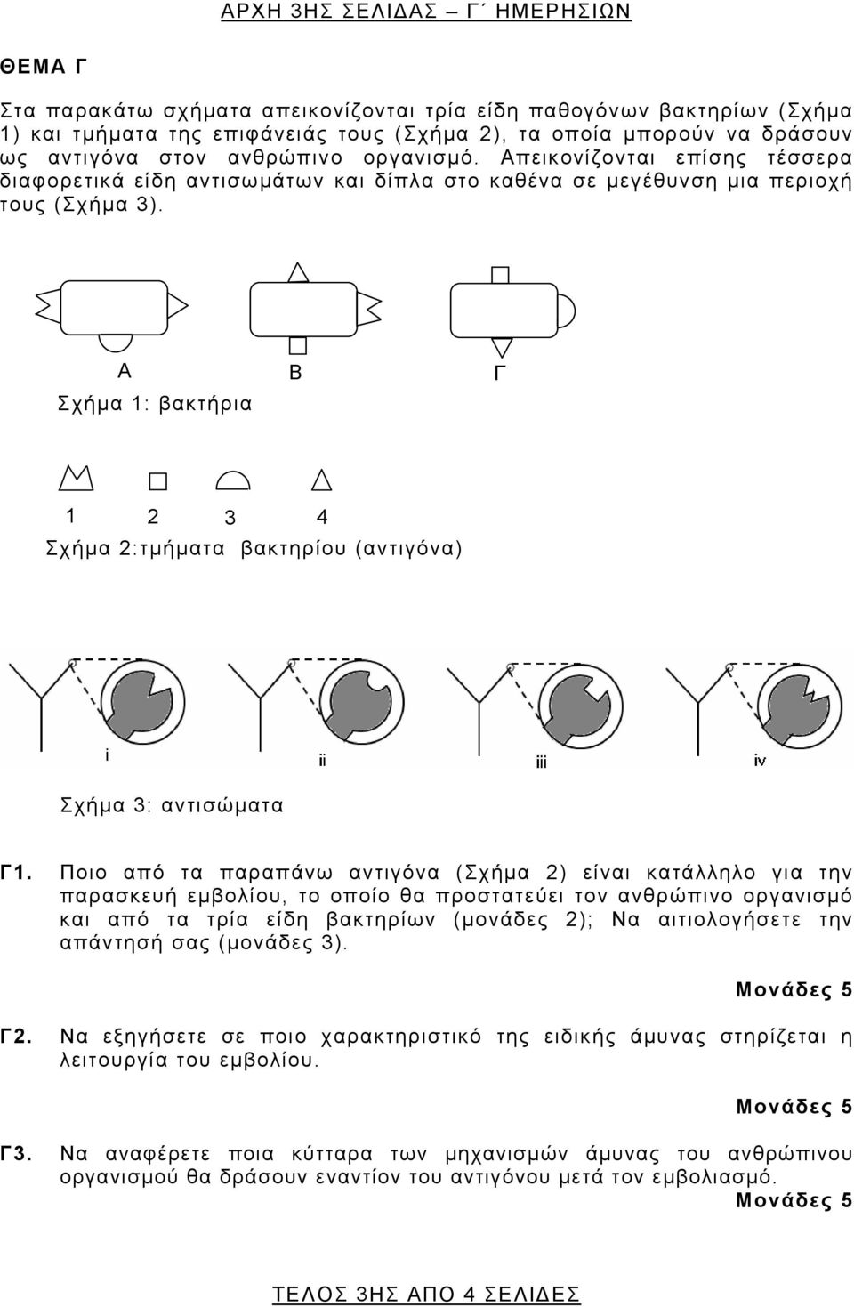 Α Β Γ Σχήμα 1: βακτήρια 1 2 3 4 Σχήμα 2:τμήματα βακτηρίου (αντιγόνα) Σχήμα 3: αντισώματα Γ1.