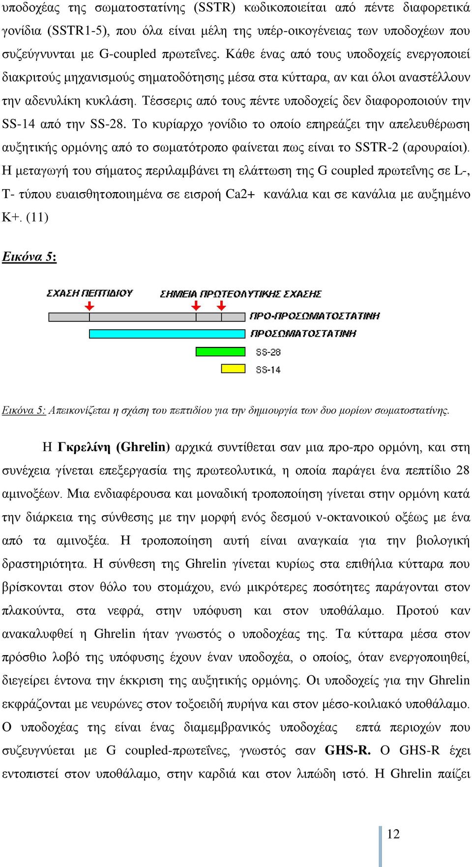 Σέζζεξηο απφ ηνπο πέληε ππνδνρείο δελ δηαθνξνπνηνχλ ηελ SS-14 απφ ηελ SS-28.