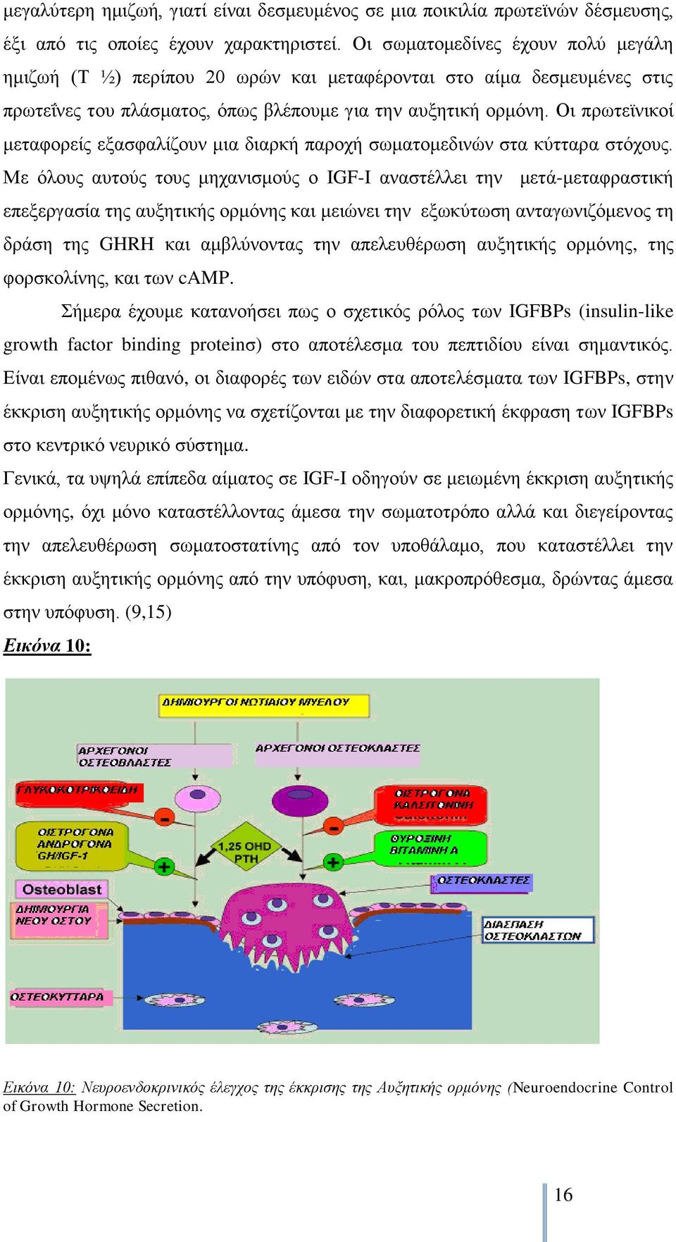 Οη πξσηετληθνί κεηαθνξείο εμαζθαιίδνπλ κηα δηαξθή παξνρή ζσκαηνκεδηλψλ ζηα θχηηαξα ζηφρνπο.