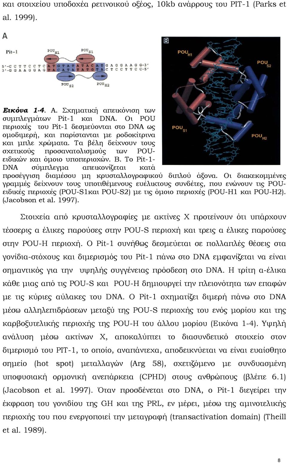 Το Pit-1- DNA σύμπλεγμα απεικονίζεται κατά προσέγγιση διαμέσου μη κρυσταλλογραφικού διπλού άξονα.