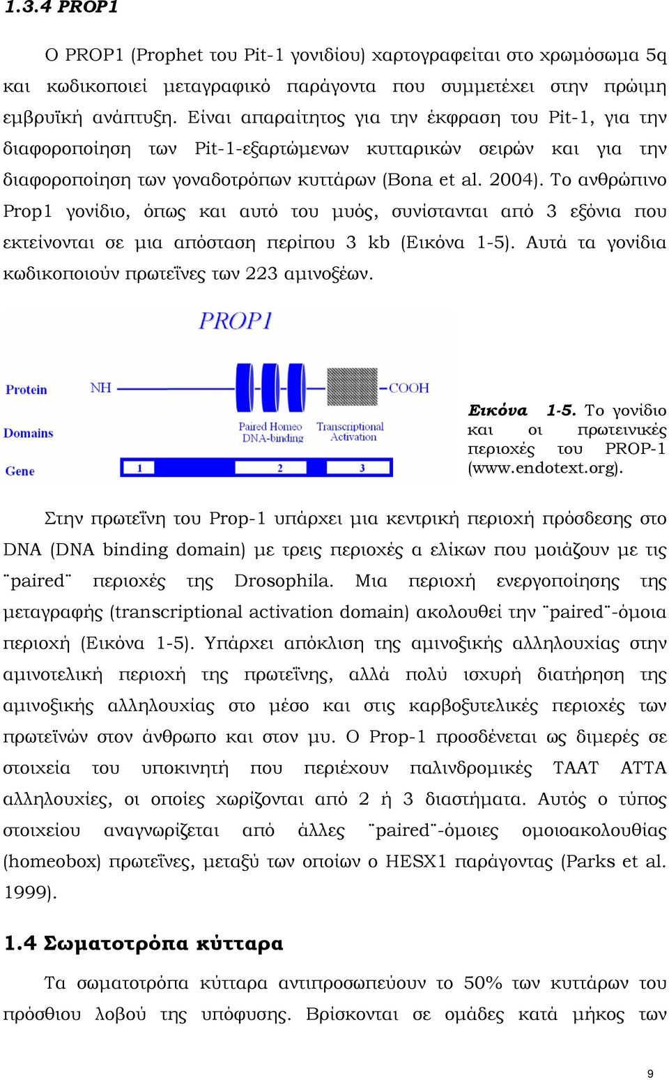 Το ανθρώπινο Prop1 γονίδιο, όπως και αυτό του μυός, συνίστανται από 3 εξόνια που εκτείνονται σε μια απόσταση περίπου 3 kb (Εικόνα 1-5). Αυτά τα γονίδια κωδικοποιούν πρωτεΐνες των 223 αμινοξέων.