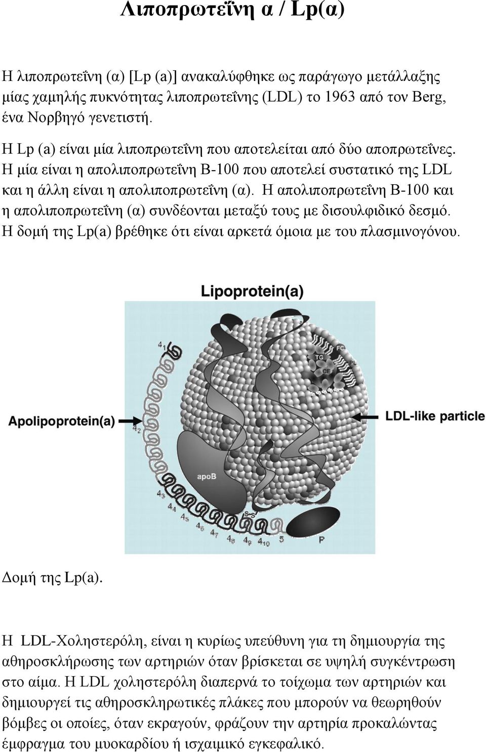 Η απoιηπνπξσηεΐλε Β-100 θαη ε απoιηπνπξσηεΐλε (α) ζπλδένληαη κεηαμχ ηνπο κε δηζνπιθηδηθφ δεζκφ. Η δνκή ηεο Lp(a) βξέζεθε φηη είλαη αξθεηά φκνηα κε ηνπ πιαζκηλνγφλνπ. Γνκή ηεο Lp(a).