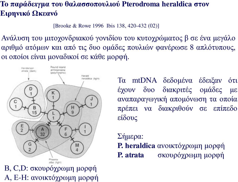 είναι μοναδικοί σε κάθε μορφή.