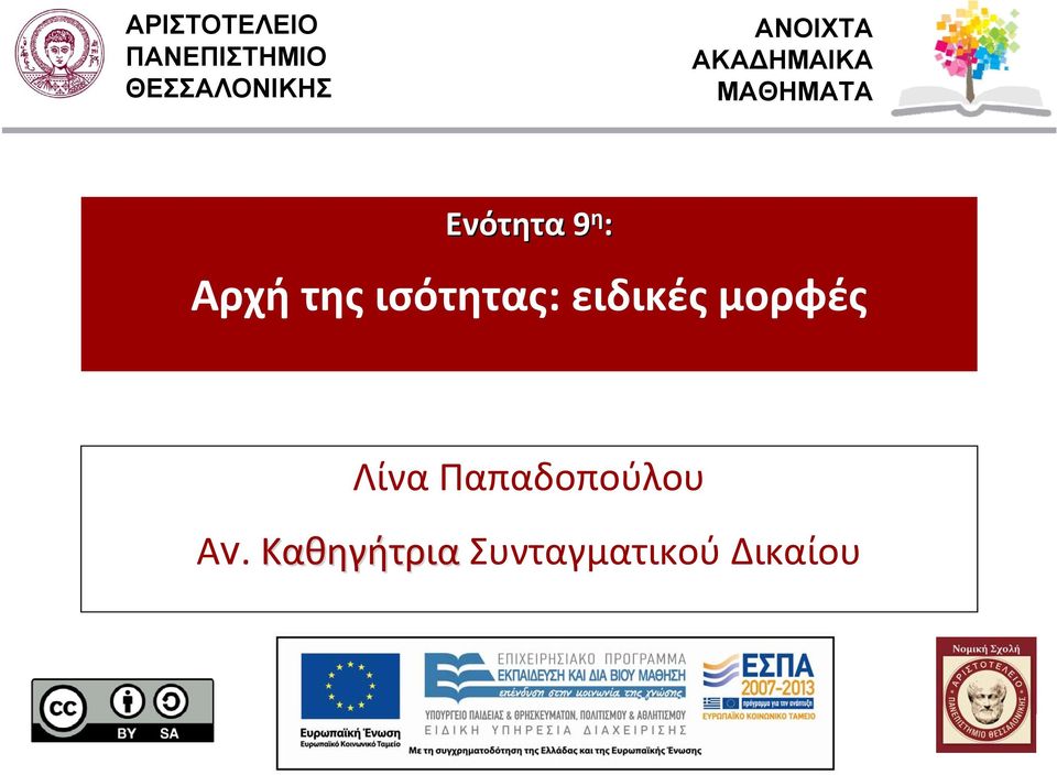 Αρχή της ισότητας: ειδικές μορφές Λίνα