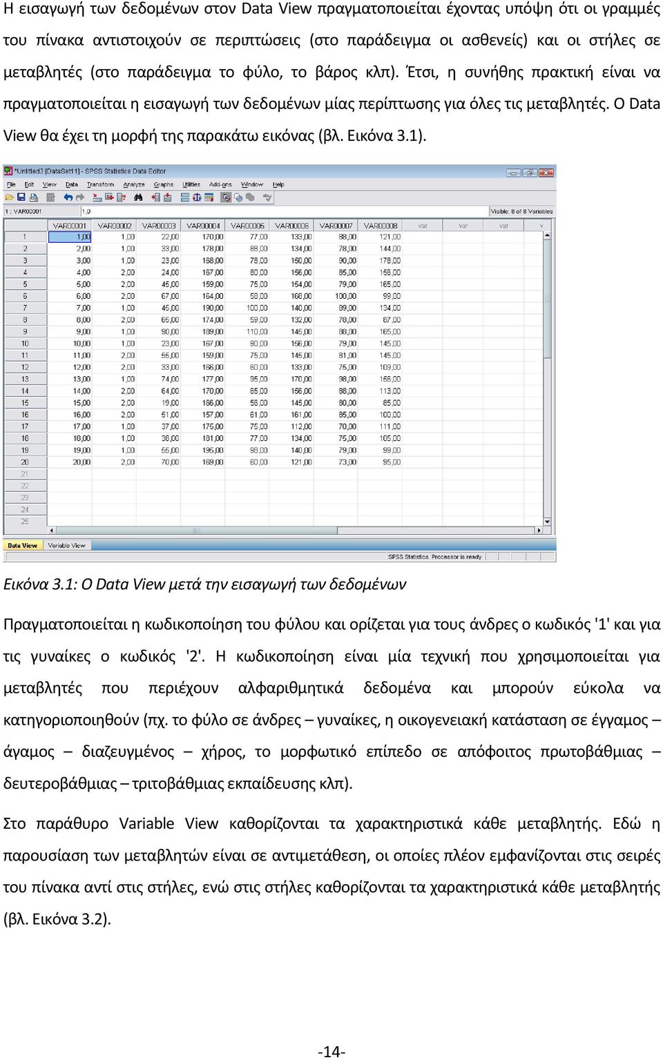 Εικόνα 3.1). Εικόνα 3.1: Ο Data View μετά την εισαγωγή των δεδομένων Πραγματοποιείται η κωδικοποίηση του φύλου και ορίζεται για τους άνδρες ο κωδικός '1' και για τις γυναίκες ο κωδικός '2'.