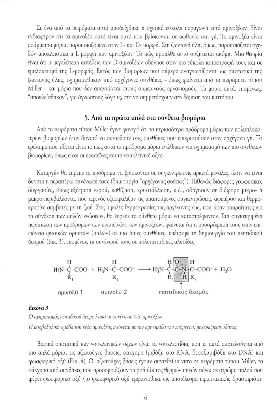 Μια θεωρία είναι ότι η μεγαλύτερη αστάθεια των D-αμινοξέων οδήγησε στην πιο εύκολη καταστροφή τους και σε εμπλουτισμό της L-μορφής.