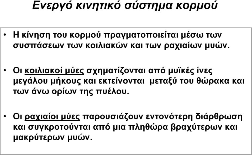 Οι κοιλιακοί μύες σχηματίζονται από μυϊκές ίνες μεγάλου μήκους και εκτείνονται μεταξύ του