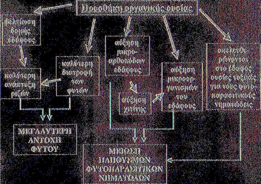 ανθεκτικών στους νηματώδεις και από σχετικές έρευνες που πραγματοποιήθηκαν στη Γαλλία βρέθηκε ότι τα υποκείμενα S 0 4,5Β Β, 1616C, 1103Ρ, 99R, 101-14 και 4453 είναι πολύ ανθεκτικά στους Meloidogyne