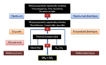 μικρομοριακές οργανικές ενώσεις όπω