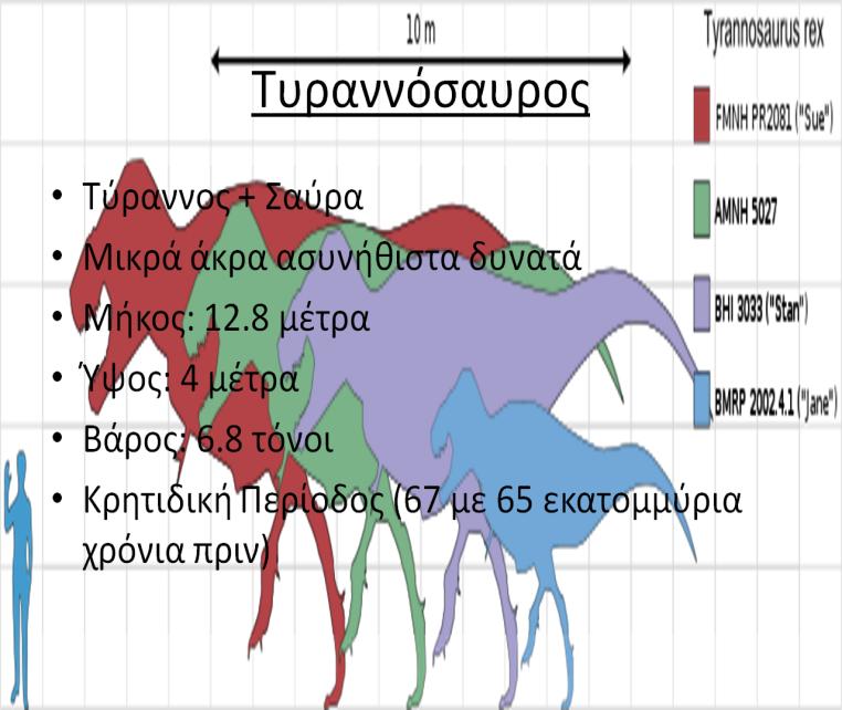 Τν θόλην ηεο δηαθάλεηαο είλαη ζρεηηθό κε ηνλ ηπξαλλόζαπξν θαη δείρλεη ηε δηαθνξά ύςνπο από ηνλ άλζξσπν. Σύλνςε Σπκπεξάζκαηα Απηή ε δηαθάλεηα επηθεληξώλεη ζηα θπξηόηεξα ζεκεία ηεο παξνπζίαζεο.