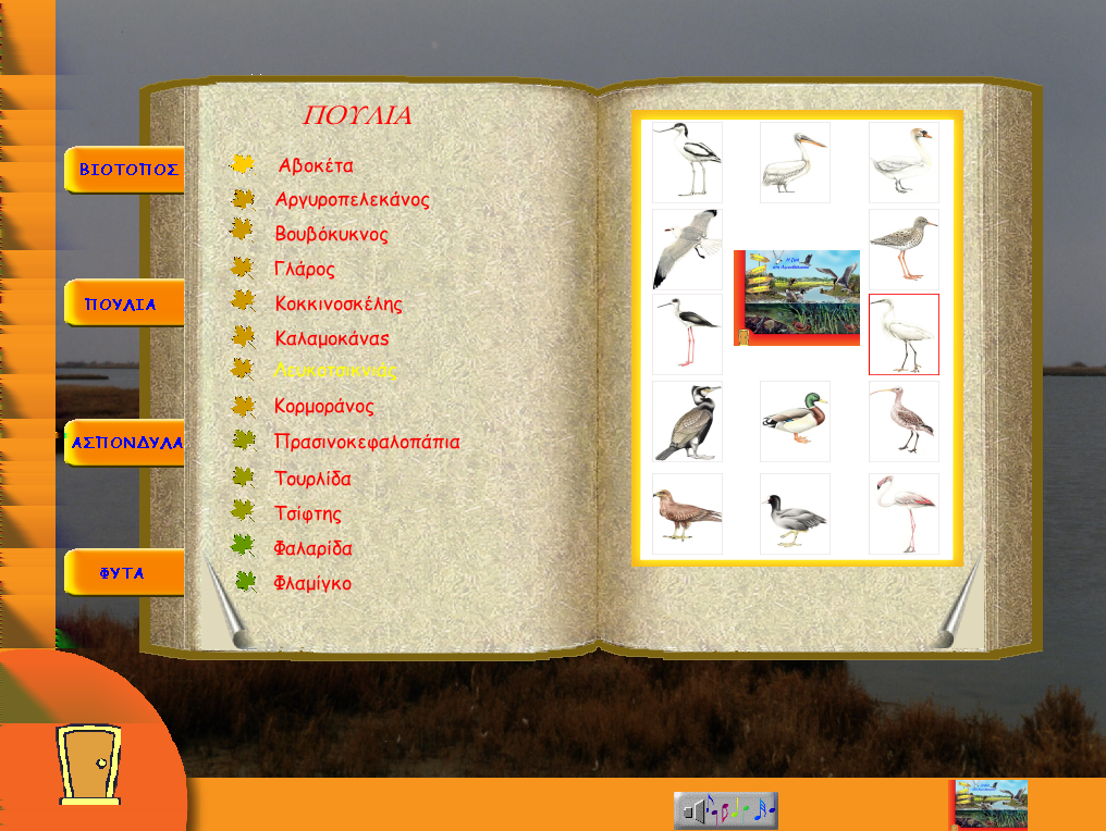 Εικόνα 1: Η οθόνη της ενότητας «Πουλιά» Στο menu της ενότητας «Πουλιά», στην αριστερή σελίδα του «βιβλίου», εμφανίζονται τα κοινά ονόματα κοινών ειδών της ορνιθοπανίδας των Μεσογειακών μεταβατικών