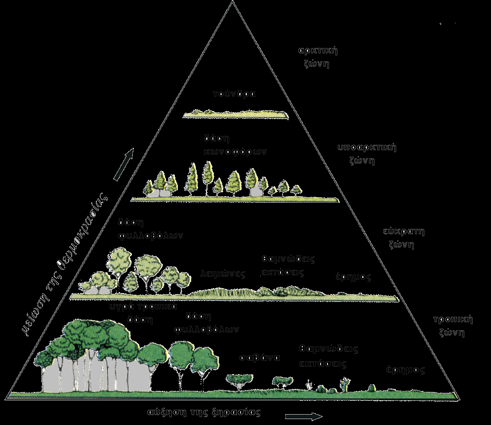 1. Βλάστηση των μεσογειακών περιοχών 2. Μικτά φυλλοβόλα δάση 3. Ορεινά δάση κωνοφόρων 4. Ηπειρωτικές κεντροευρωπαϊκές δενδρώδεις διαπλάσεις 5.