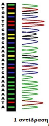 Η μέθοδος Sanger μπορεί να αυτοματοποιηθεί Σήμανση κάθε ddntp με