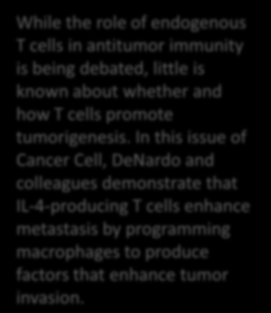 Μακροφάγα και ανοσοθεραπεία While the role of endogenous T cells in antitumor immunity is being debated, little is known about whether and how T cells promote tumorigenesis.