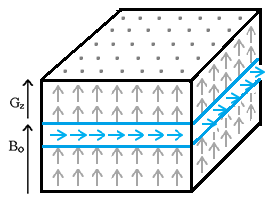 εικονοστοιχείων (pixels) που συνθέτουν την εκάστοτε τομή, δηλαδή της κωδικοποίησης φάσης (phase encoding) και συχνότητας (frequency encoding). 1.