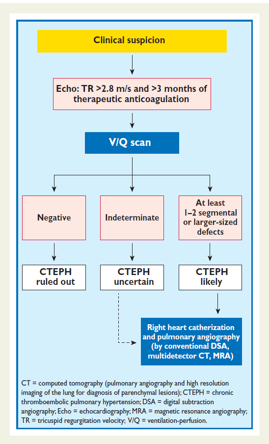 Χρόνια θρομβοεμβολική πνευμονική υπέρταση Διαγνωστικός αλγόριθμος πνευμονικής υπέρτασης