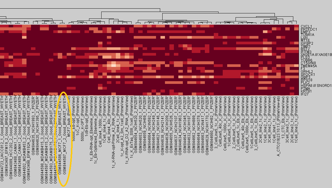 Expression Universe 2-18034 γονίδια με highest Variance - Μέθοδος - Average Παρακάτω φαίνονται ολόκληρο το Heat map, και διάφορα στιγμιότυπα του, που περιέχουν ενδεικτικές πληροφορίες.