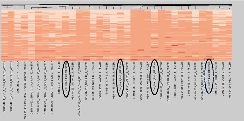 Εικόνα 38. Στιγμιότυπο του Heat map για το Expression Universe 1 με 11000 γονίδια Στην εικόνα 38 βλέπουμε την πρώτη επιθυμητή κατηγοριοποίηση.