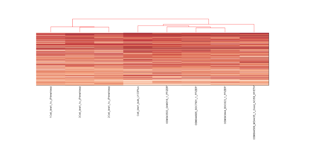 Εικόνα 41. Στιγμιότυπο του Heat map για το Expression Universe με 1400 γονίδια, με highest Variance.