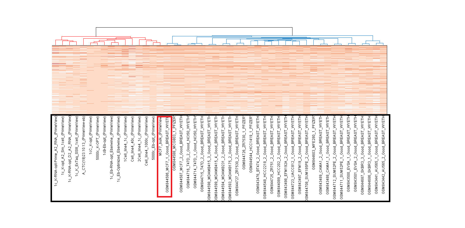 Εικόνα 43. Στιγμιότυπο του Heat map για το Expression Universe με 1400 γονίδια, με highest Variance.