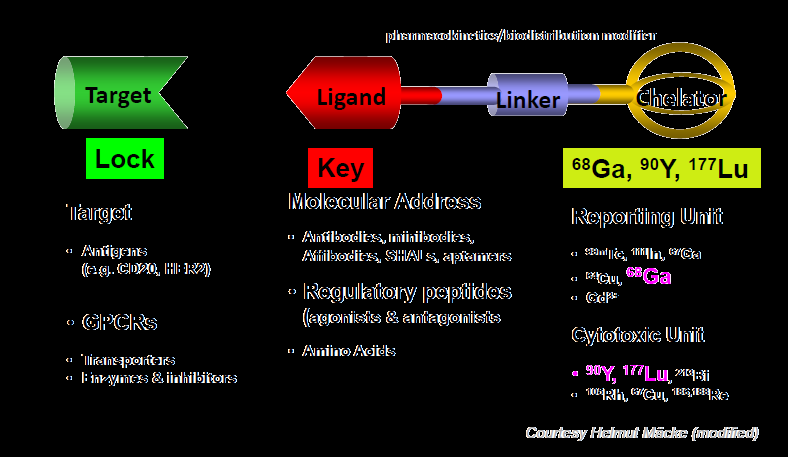 Targeted Molecular Imaging