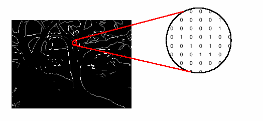 2..4 υαδικές (binary) εικόνες Σε µια δυαδική εικόνα κάθε εικονοστοιχείο αντιστοιχεί σε µια από τις δυο διακριτές τιµές (0 για το µαύρο ή για το άσπρο).