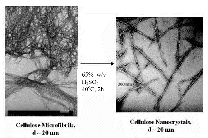 Εικόνα 10: Σχηματική απεικόνιση των αλλαγων που επιφέρει στη μορφολογία της κυτταρίνης η όξινη υδρόλυση (Gray,2011) Όξινη υδρόλυση της βακτηριακή κυτταρίνης γίνεται συνήθως με χρήση θειικού ή