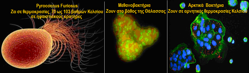 5) Οι Αντιφάσεις στην Επάρκεια της Φυσικής Επιλογής ως Κύριου Μοχλού της Δαρβινικής Εξέλιξης.