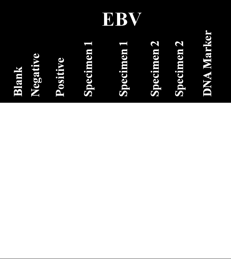 Diagnostic PCR