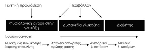 σηματοδότηση της UPR και επομένως εξαιρετικά ευαίσθητα σε μεταβολές της ομοιόστασης του ΕΔ και της οξειδοαναγωγικής κατάστασης.