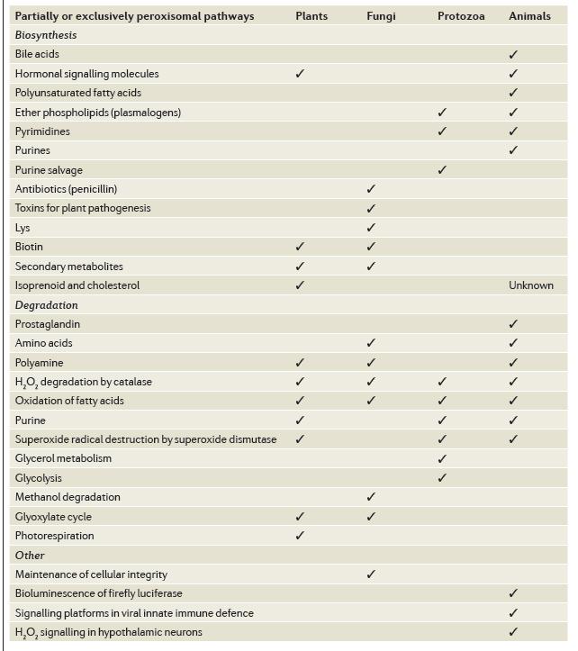 Λειτουργίες Smith and Aitchison, Νature Reviews, Molecular Cell Biology 14:803, Dec 2013 most notable