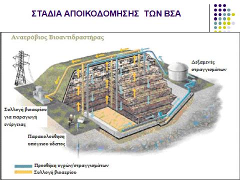 ΣΤΑΔΙΑ ΒΙΟΑΠΟΔΟΗΣΗΣ ΑΠΟΒΛΗΤΩΝ 1 ο ΣΤΑΔΙΟ Υδρολυτική αεροβική αποικοδόμηση ΑΠΟΣΥΝΘΕΣΗ ΟΡΓΑΝΙΚΩΝ ΠΑΡΑΓΩΓΗ ΔΙΟΞΕΙΔΙΟΥ ΤΟΥ ΑΝΘΡΑΚΑ 2 Ο ΣΤΑΔΙΟ Υδρόλυση και Ζύμωση ΟΞΕΙΚΟΓΕΝΗ ΒΑΚΤΗΡΙΑ >