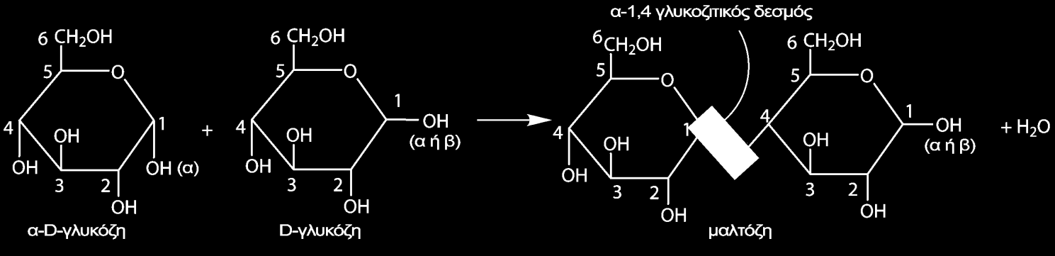 Σχηματισμός εστέρων με φωσφορικό οξύ Η αντίδραση έχει σπουδαία σημασία στις βιοχημικές πορείες και θα τη συναντήσουμε στον καταβολισμό των υδατανθράκων (παράγραφος 24.6.1). 20.