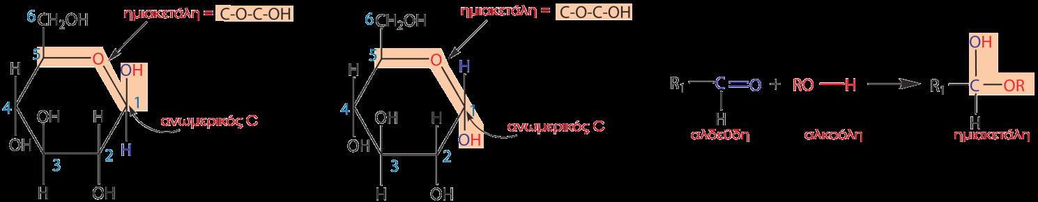 Στον μονοσακχαρίτη 1 το ασύμμετρο άτομο C5 έχει το ΟΗ δεξιά, άρα είναι D-μονοσακχαρίτης, στον μονοσακχαρίτη 2 το ασύμμετρο άτομο C4 έχει το ΟΗ αριστερά, άρα είναι L-μονοσακχαρίτης και ο τρίτος